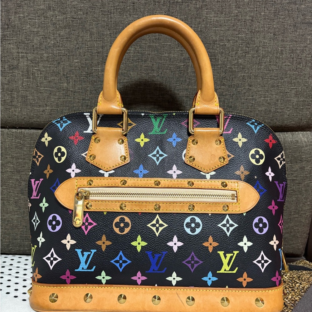 Louis Vuitton Multicolor Monogram Handbag